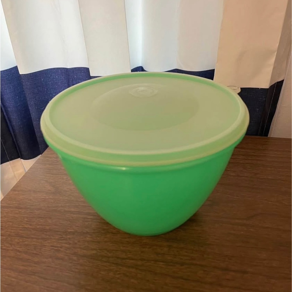 Vintage 1970’s Tupperware lettuce keeper​
